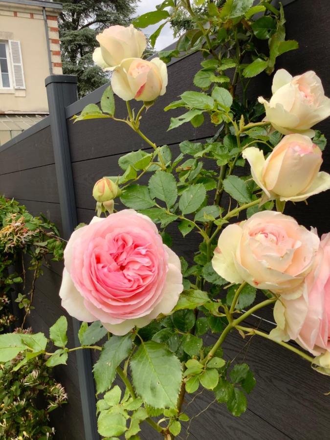 La Renardière Bourges Esterno foto